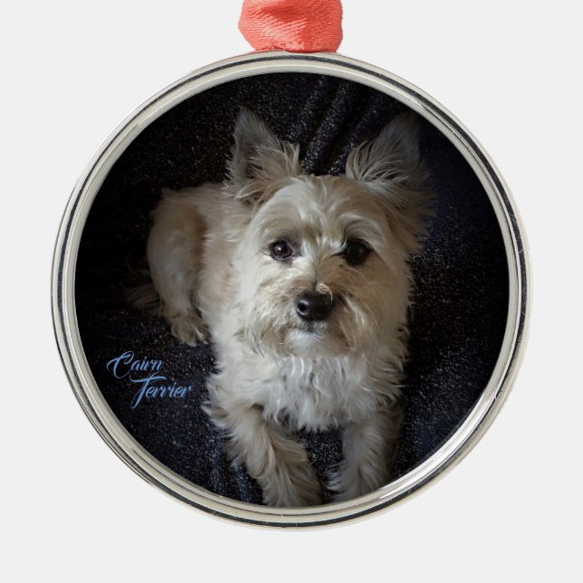 Ornement rond de la meilleure qualité de (Devant)