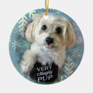 Ornement rond de Noël de chiot de Morkie