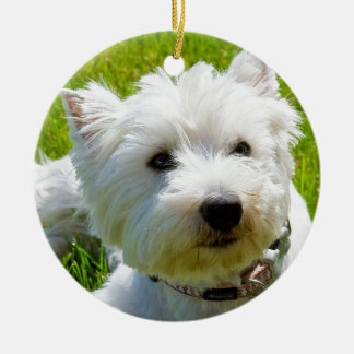 Ornement Rond En Céramique Abeille