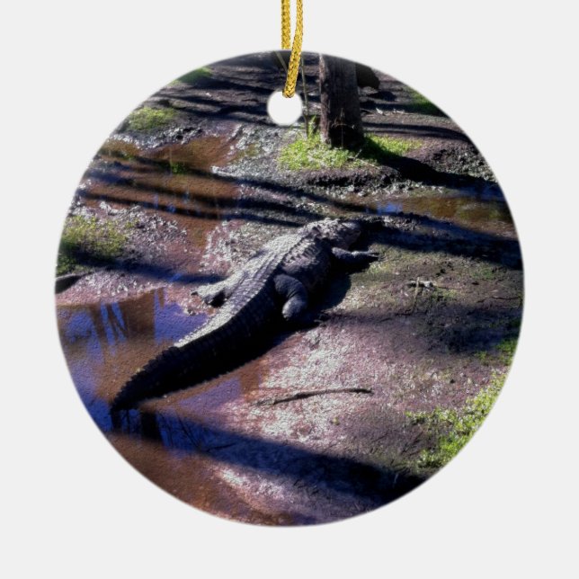 Ornement Rond En Céramique Alligator de la Floride (Devant)