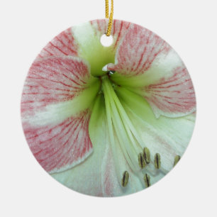 Ornement Rond En Céramique Amaryllis Fleur de Pommier Ouverte