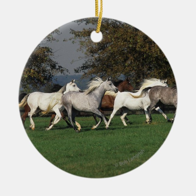 Ornement Rond En Céramique Arabes courant dans le domaine (Devant)