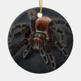 Ornement Rond En Céramique Araignée effrayante Arachnophobia de tarentule