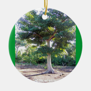 Ornement Rond En Céramique Arbre de la sagesse