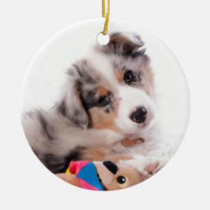 Ornement Rond En Céramique Australian shepherd puppy