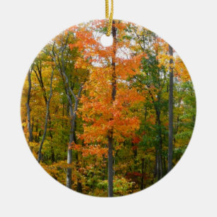 Ornement Rond En Céramique Automne Maple Trees Automne Photographie de la nat
