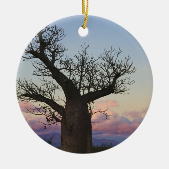 Ornement Rond En Céramique Baobab, Berenty, Toliara, Madagascar (Devant)