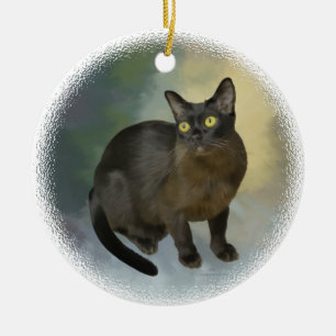 Ornement Rond En Céramique Beau birman