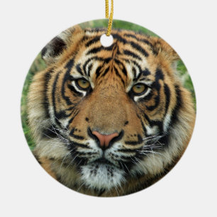 Ornement Rond En Céramique Beau tigre