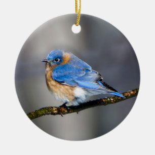Ornement Rond En Céramique Bleu rouge de l'Est sur l'ornement de Noël des me