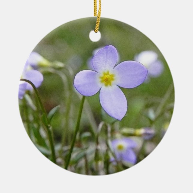 Ornement Rond En Céramique Bluets - dames de quaker (Devant)