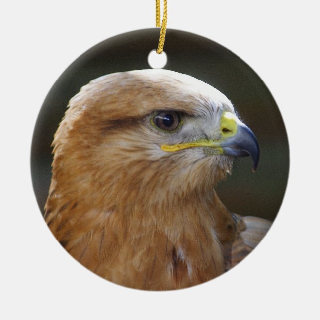 Ornement Rond En Céramique Buzzard à pattes longues (Devant)