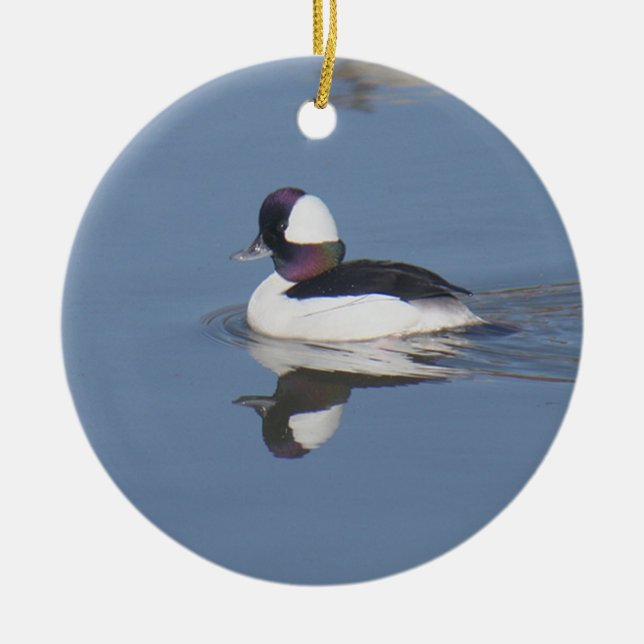 Ornement Rond En Céramique Canard Drake de Bufflehead (Devant)