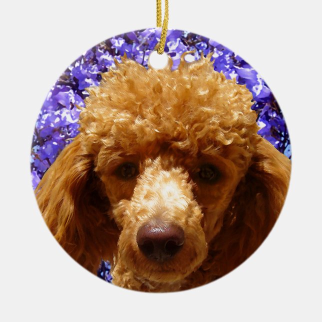 Ornement Rond En Céramique Caniche mignon (Devant)