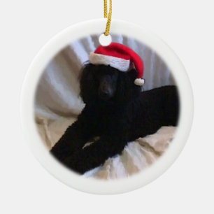 Ornement Rond En Céramique Caniche standard