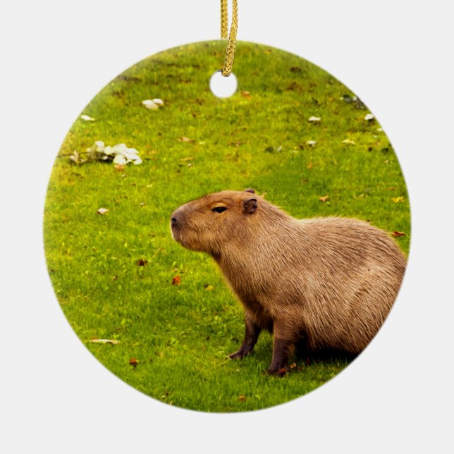 Ornement Rond En Céramique Capybara (Devant)