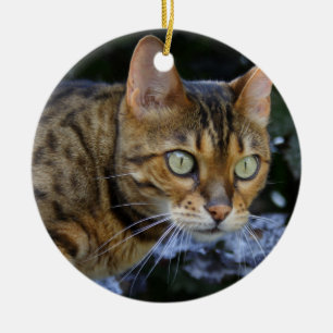 Ornement Rond En Céramique Cat du Bengale