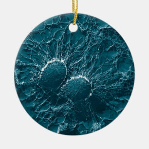 Ornement Rond En Céramique Cellules bactériennes de fin de Staphylococcus