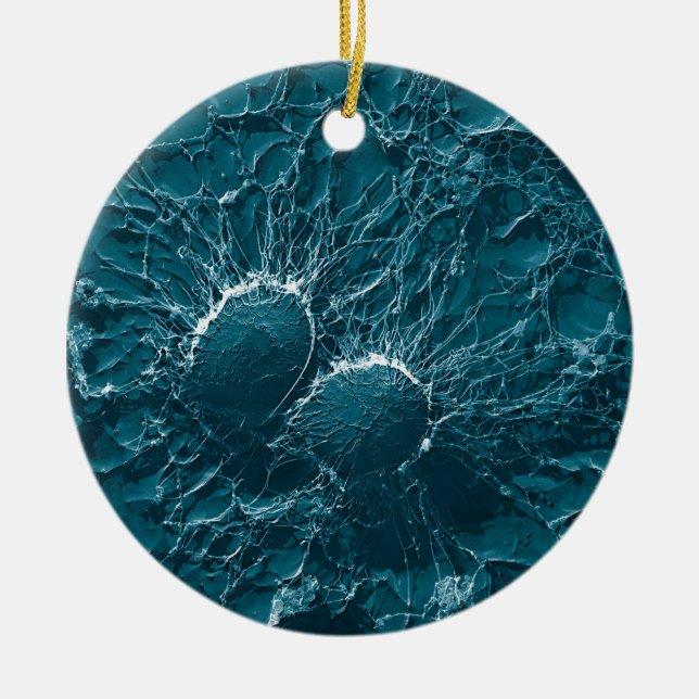 Ornement Rond En Céramique Cellules bactériennes de fin de Staphylococcus (Devant)