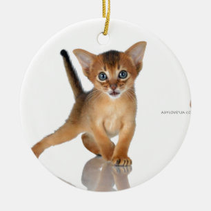 Ornement Rond En Céramique Chat abyssinien