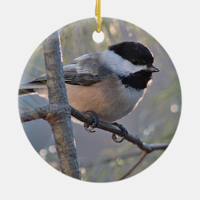 Ornement Rond En Céramique Chickadee (Dos)