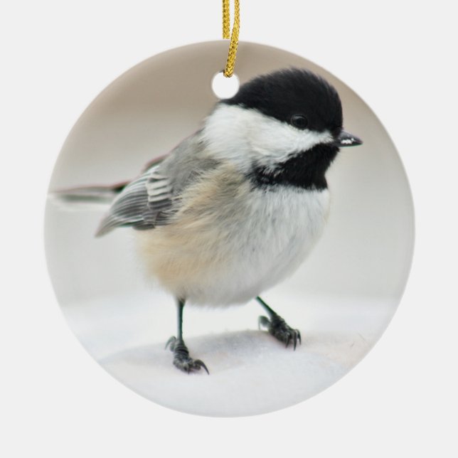 Ornement Rond En Céramique Chickadee (Devant)