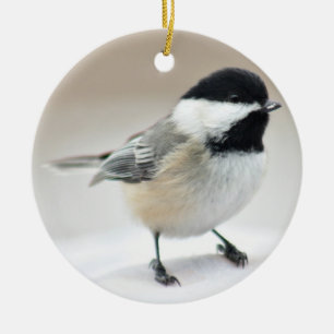 Ornement Rond En Céramique Chickadee