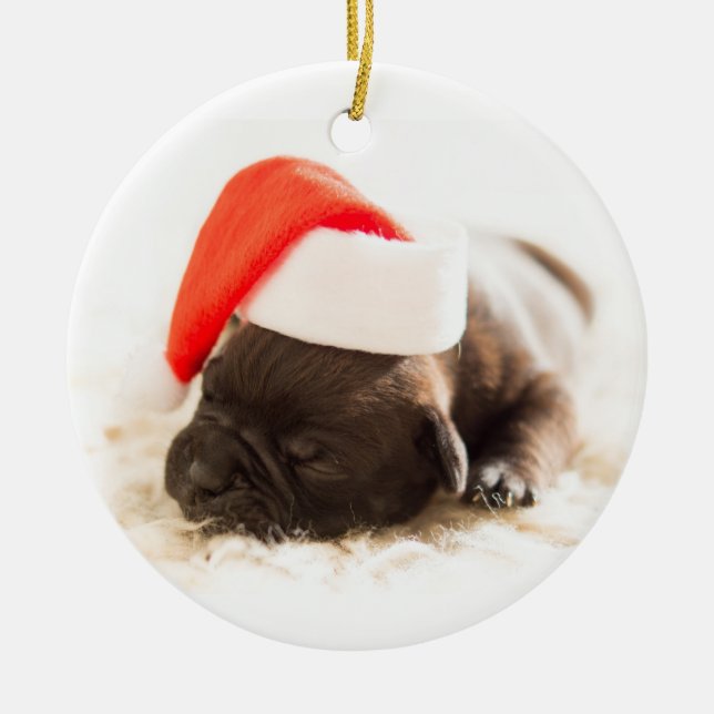 Ornement Rond En Céramique Chien avec chapeau de Père Noël sur Arrière - plan (Devant)