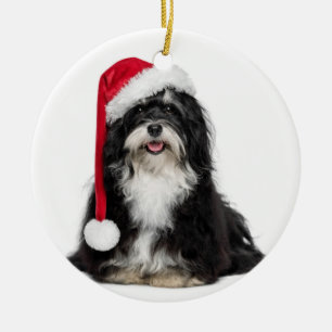Ornement Rond En Céramique Chien drôle de Havanese de Noël avec le casquett