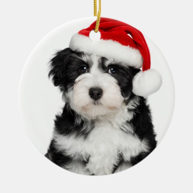 Ornement Rond En Céramique Chiot de Havanese de Noël (Devant)