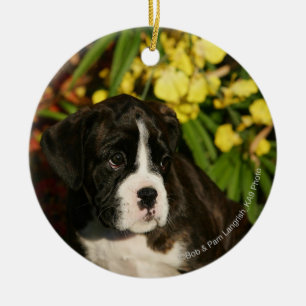 Ornement Rond En Céramique Chiots de boxeur