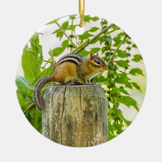 Ornement Rond En Céramique Chipmunk sur un poteau de clôture (Devant)