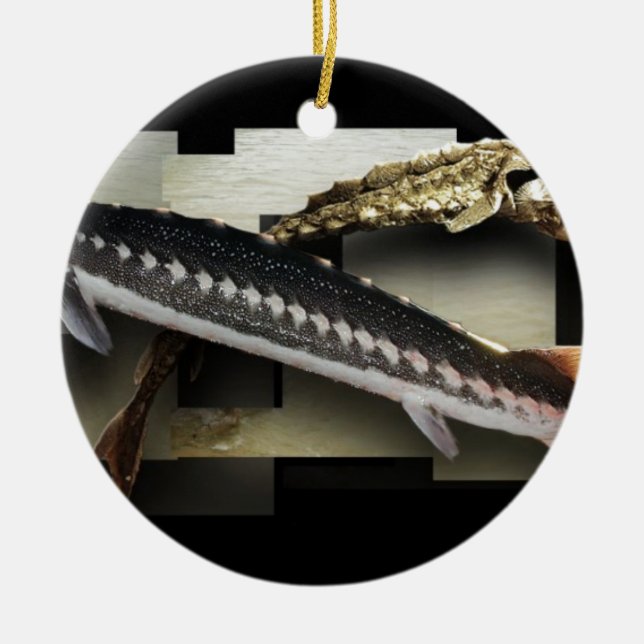 Ornement Rond En Céramique Collage radié de l'esturgeon 3D (Devant)