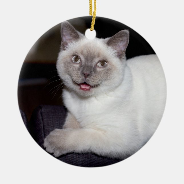 Ornement Rond En Céramique Créer-Votre-Propre-Photo | (Devant)