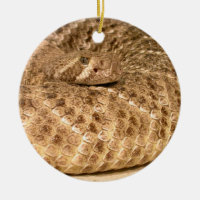 crotale de diamant occidental