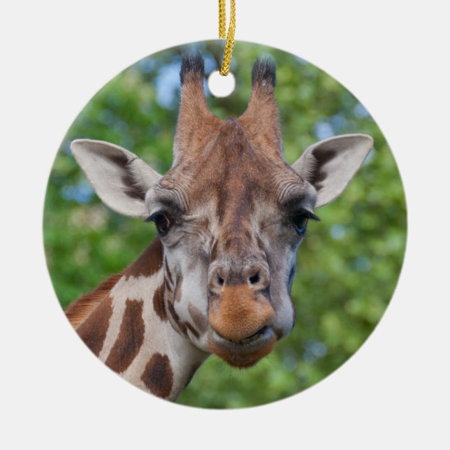Ornement Rond En Céramique Curios Giraffe (Devant)