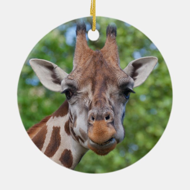 Ornement Rond En Céramique Curios Giraffe (Dos)