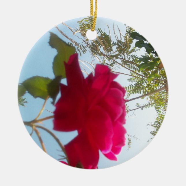 Ornement Rond En Céramique Cute Retro Hakuna Matata Cadeau Bleu Rouge Vert SK (Devant)