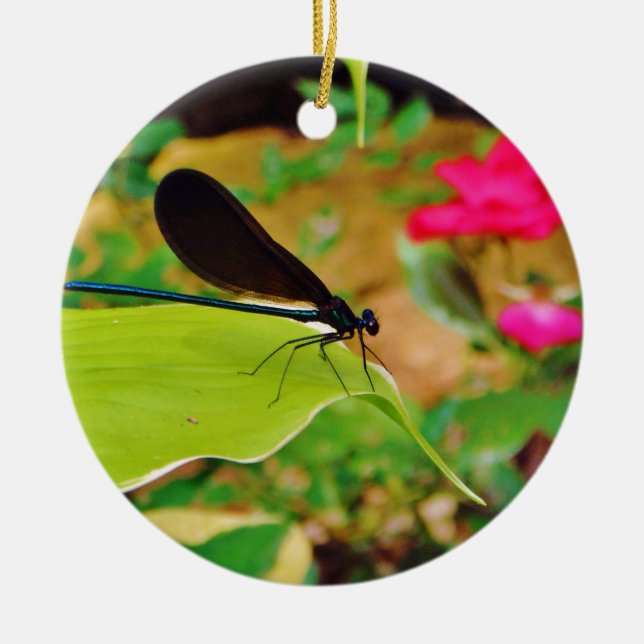 Ornement Rond En Céramique Damselfly et Rose (Devant)