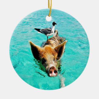 Ornement Rond En Céramique D'amusement fis de mouette de porc de natation de