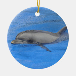 Ornement Rond En Céramique Dauphin à bec