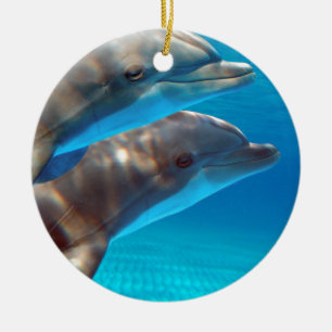 Ornement Rond En Céramique Deux dauphins nageant