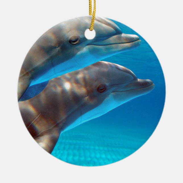 Ornement Rond En Céramique Deux dauphins nageant (Devant)