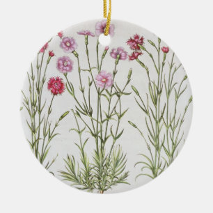 Ornement Rond En Céramique Diverses variétés d'oeillets, du 'Hortus Ey