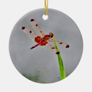 ORNEMENT ROND EN CÉRAMIQUE DSC00029.JPG