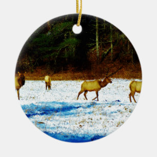 ORNEMENT ROND EN CÉRAMIQUE DSC00131.JPG