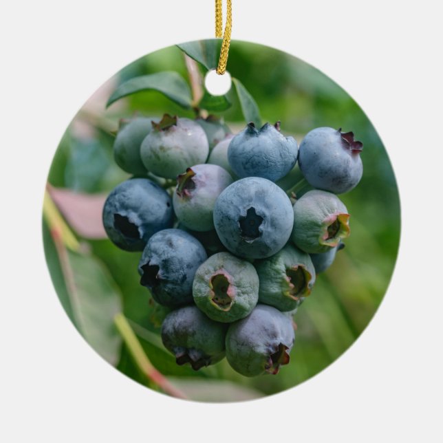 ORNEMENT ROND EN CÉRAMIQUE DSC_4190 (Devant)