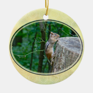 Ornement Rond En Céramique Eastern Chipmunk on Stump