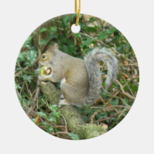 Ornement Rond En Céramique Écureuil avec Acorn Anniversaire personnalisé