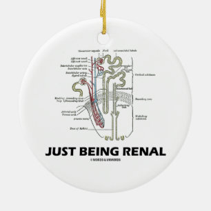 Ornement Rond En Céramique Être Renal (Humour Renal Du Néphron Du Rein)